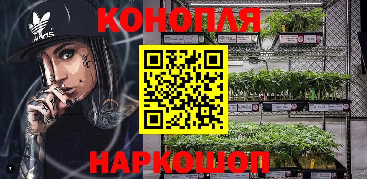 Канабис сатива  Вход с VPN  Канабис конопля  Марихуана планчик  Лиски 